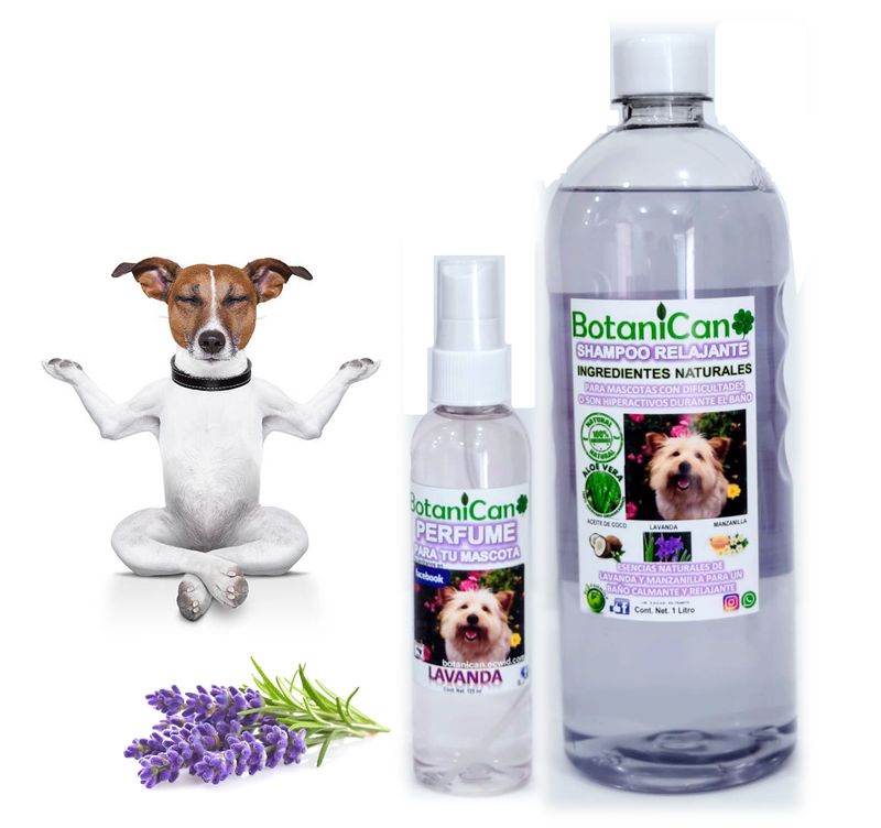 Kit Relajante Lavanda Natural