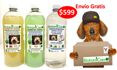 KIT BOTANICO DE UN LITRO PARA CASOS LEVES A SEVEROS DE LA PIEL Y PELO + SHAMPOO ANTIBACTERIAL COCO!!