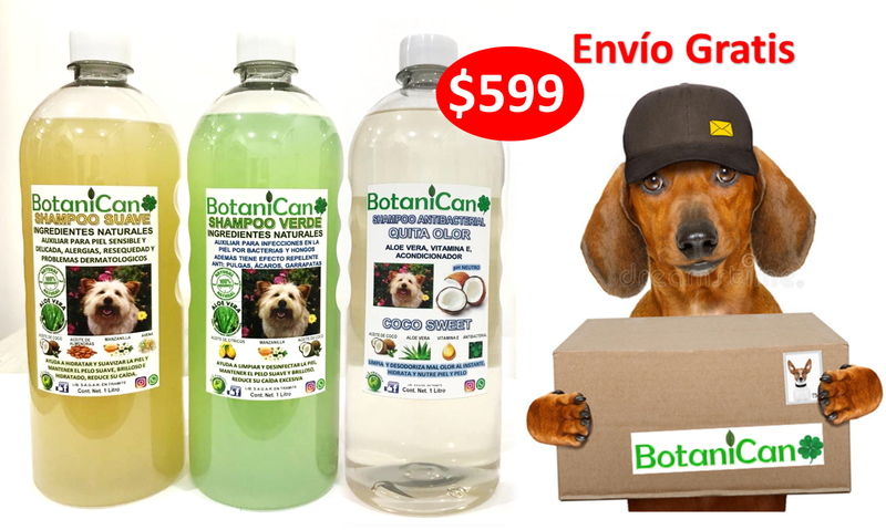 KIT BOTANICO DE UN LITRO PARA CASOS LEVES A SEVEROS DE LA PIEL Y PELO + SHAMPOO ANTIBACTERIAL COCO!!