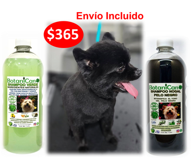 ✨ Dúo de Shampoos BotaniCan Litro: Verde Repelente y Nogal para Pelo Negro 🌿