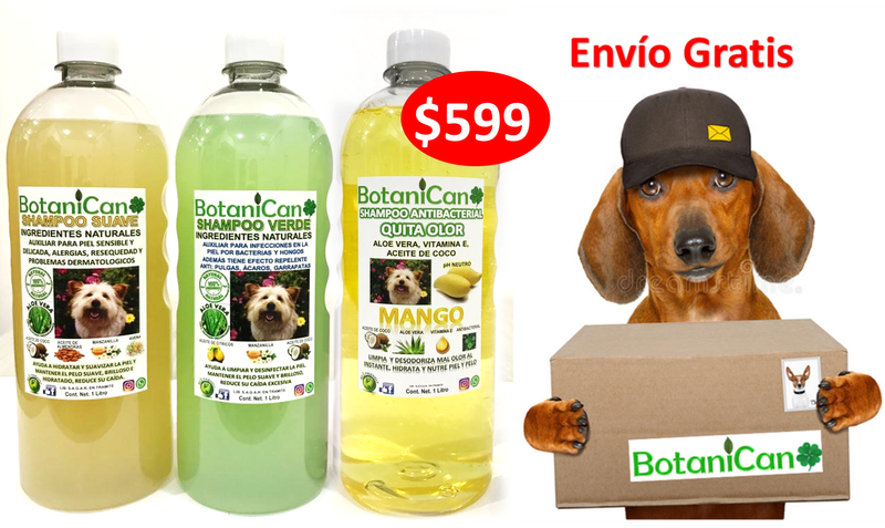 Kit Botánico Para Casos Leves A Severos De La Piel Y Pelo + Shampoo Antibacterial Mango!!