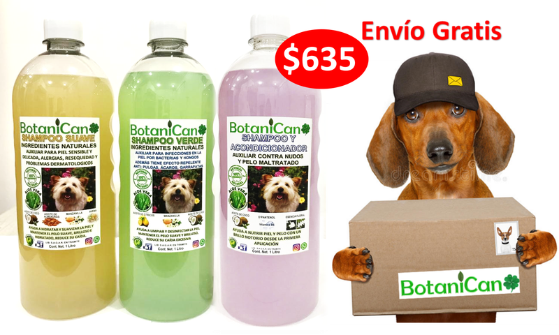 Kit para Casos Leves a Severos + Shampoo Acondicionador - 1 Litro c/u