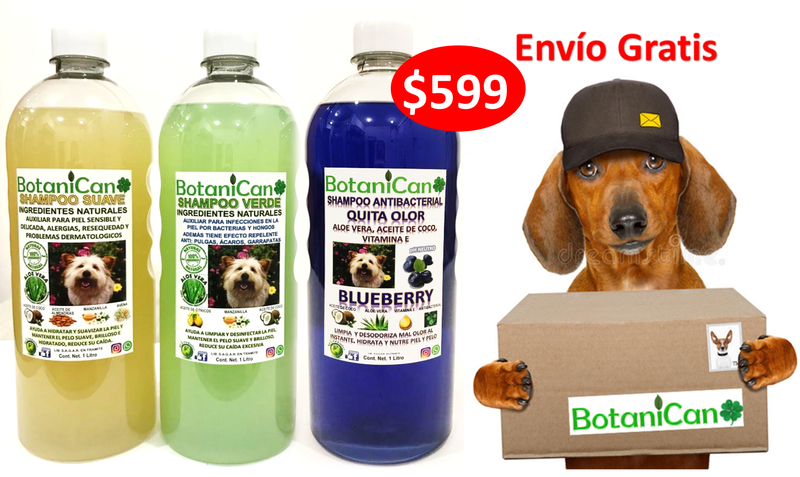 Kit Botánico Para Casos Leves A Severos De La Piel Y Pelo + Shampoo Antibacterial Blueberry!!