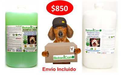 Oferta Galón de Shampoo Verde Repelente + Especial para Pelo Blanco
