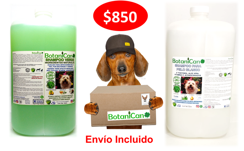 Oferta Galón de Shampoo Verde Repelente + Especial para Pelo Blanco