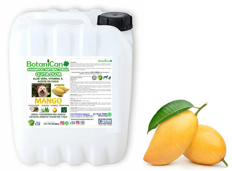 Shampoo Mango Antivbacterial Quita Olor 10 Litros