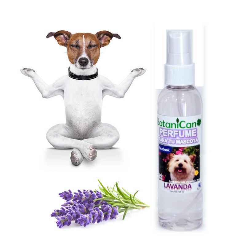 Fragancia Relajante Lavanda Natural 125ml