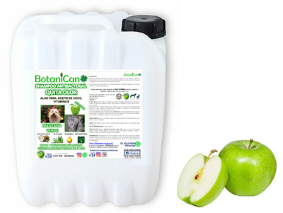 Shampoo Manzana Verde Antibacterial Quita Olor 10 Litros
