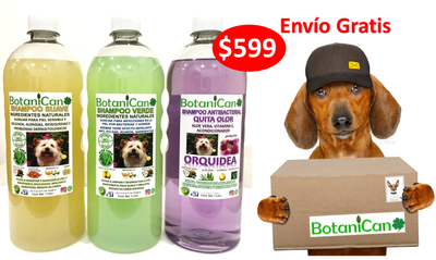 KIT BOTANICO DE UN LITRO PARA CASOS LEVES A SEVEROS DE LA PIEL Y PELO + SHAMPOO ANTIBACTERIAL ORQUIDEA (CAROLINA HERRERA) !!