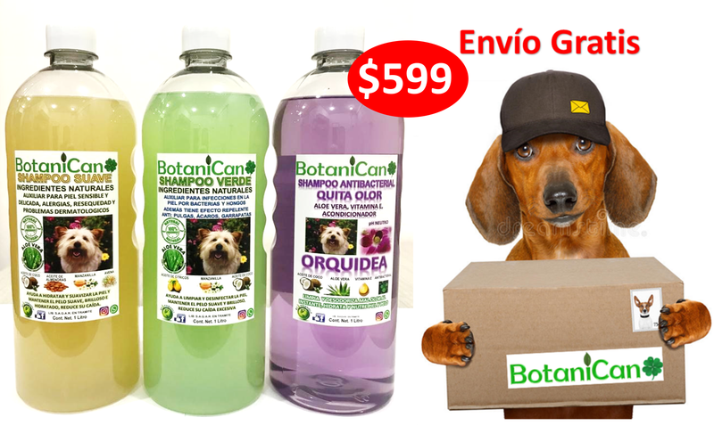 KIT BOTANICO DE UN LITRO PARA CASOS LEVES A SEVEROS DE LA PIEL Y PELO + SHAMPOO ANTIBACTERIAL ORQUIDEA (CAROLINA HERRERA) !!