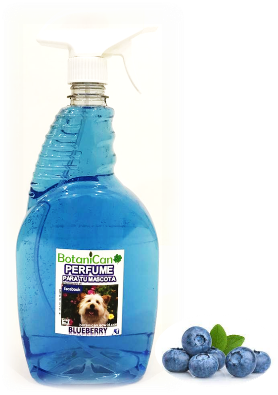 Fragancias &amp; Perfumes Blueberry 1 Litro - Unisex