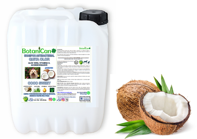 Shampoo Coco Antibacterial Quita Olor 10 Litros