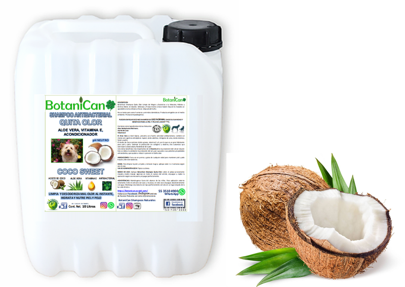 Shampoo Coco Antibacterial Quita Olor 10 Litros