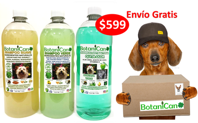 Kit Botánico Para Casos Leves A Severos De La Piel Y Pelo + Shampoo Antibacterial Quita Olor Manzana Verde!! Envío Incluido!!