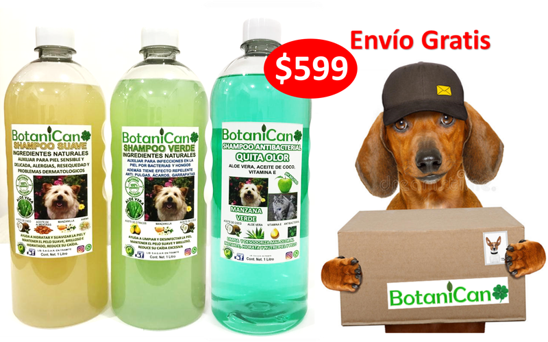 Kit Botánico Para Casos Leves A Severos De La Piel Y Pelo + Shampoo Antibacterial Quita Olor Manzana Verde!! Envío Incluido!!