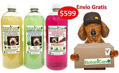 Kit Botánico Para Casos Leves A Severos De La Piel Y Pelo + Shampoo Antibacterial Quita Olor Grosella!! Envío Gratis!!