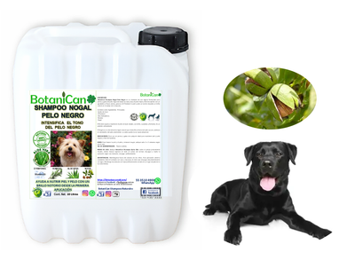 Shampoo Nogal Botánico especial para Pelo Negro 10 Litros