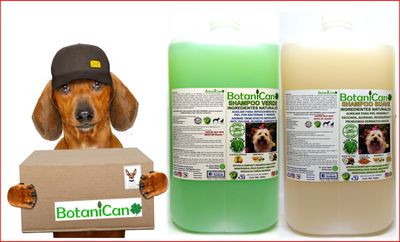 Kit Botánico Galón (Verde + Suave)