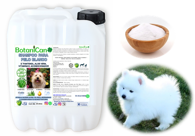 Shampoo Botánico Especial para Pelo Blanco - 10 Litros