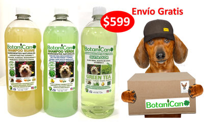 Kit Botánico Para Casos Leves A Severos De La Piel Y Pelo + Shampoo Antibacterial Quita Olor Green Tea!! Envío Gratis!!