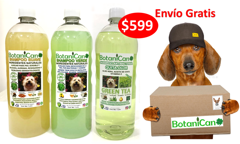 Kit Botánico Para Casos Leves A Severos De La Piel Y Pelo + Shampoo Antibacterial Quita Olor Green Tea!! Envío Gratis!!