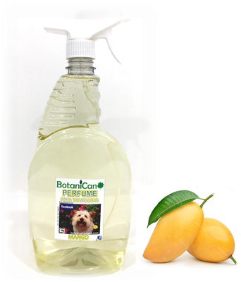 Fragancias &amp; Perfumes Mango 1 Litro - Unisex