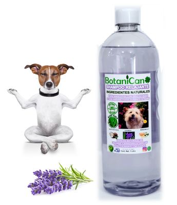 Shampoo Botánico Relajante Lavanda - 1 Litro