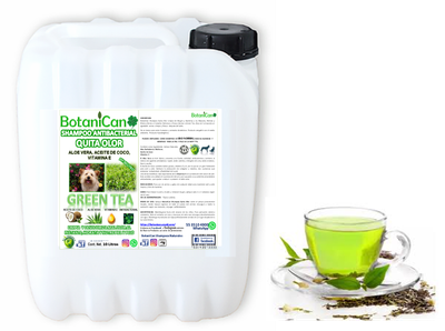 Shampoo Green Tea Antibacterial Quita Olor 10 Litros
