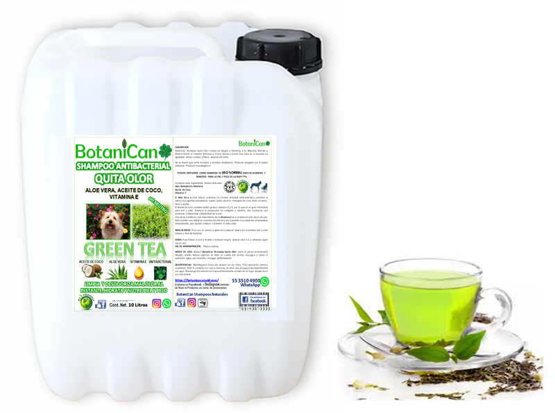 Shampoo Green Tea Antibacterial Quita Olor 10 Litros