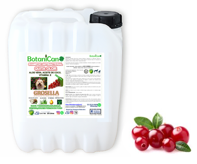 Shampoo Grosella Antibacterial Quita Olor 10 Litros