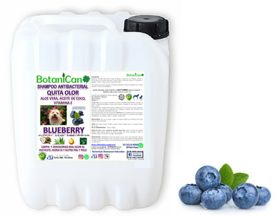 Shampoo Blueberry  Antibacterial Quita Olor 10 Litros