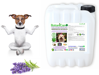 Shampoo Botánico Relajante Lavanda 10 Litros
