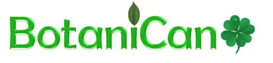 BotaniCan Shampoos Naturales