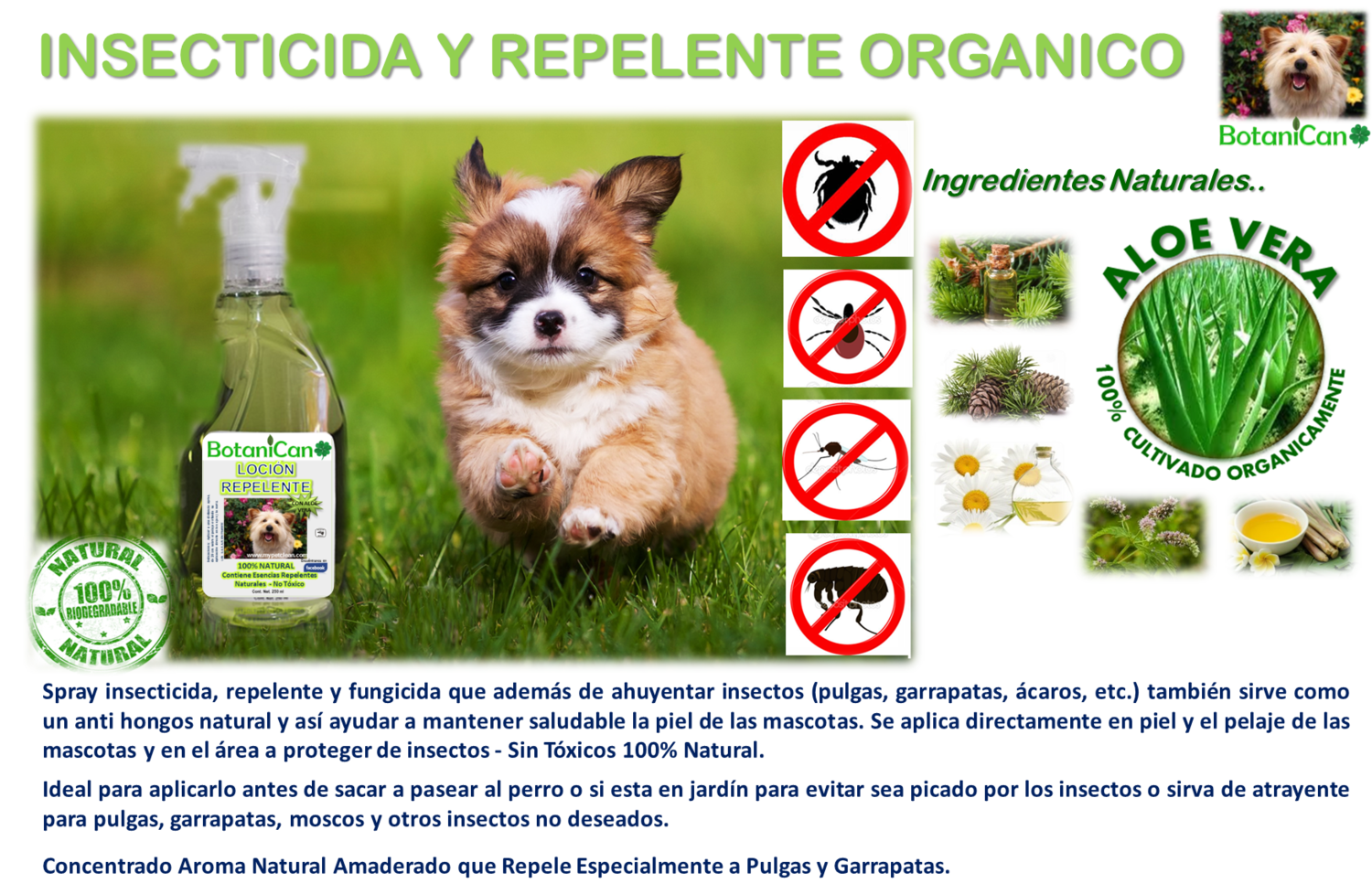 Spray Insecticida y Repelente Orgánico contra Garrapata, Pulgas y Más! 125Ml
