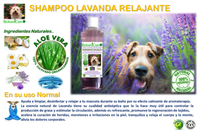 Shampoo Botánico Relajante Lavanda - 1 Litro