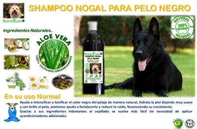 Shampoo Nogal Botánico especial para Pelo Negro - 1 Litro