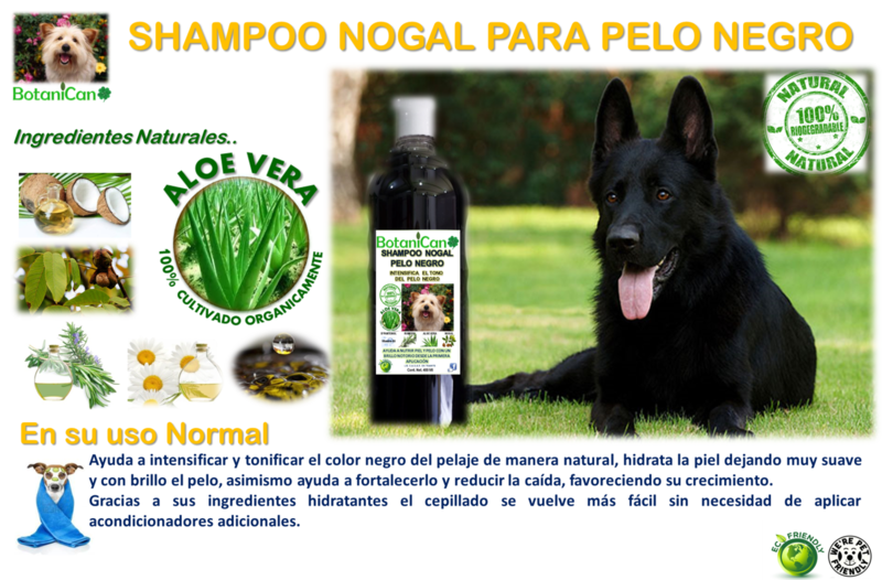 Shampoo Nogal Botánico especial para Pelo Negro - 1 Litro