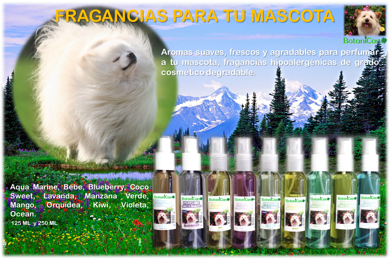 Fragancias &amp; Perfumes - 125 Ml / Green Tea - Unisex