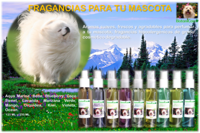 Fragancias &amp; Perfumes - 125 Ml / Blueberry - Unisex
