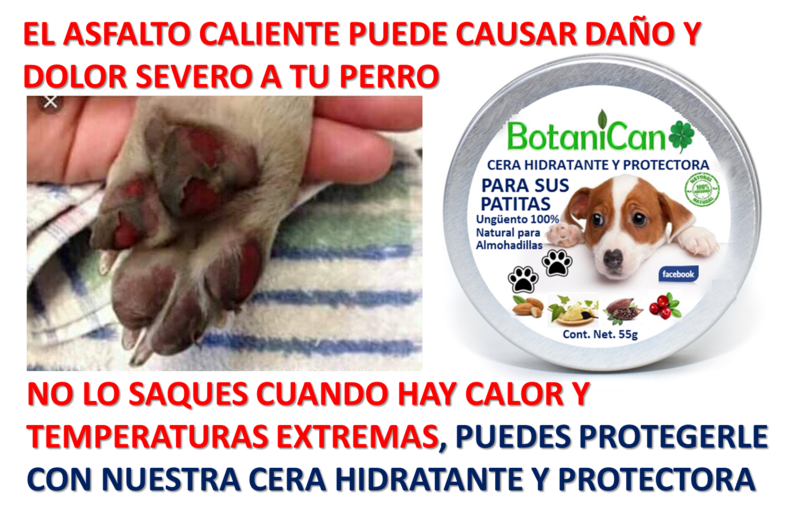 Cera Orgánica Hidratante y Protectora para Almohadillas