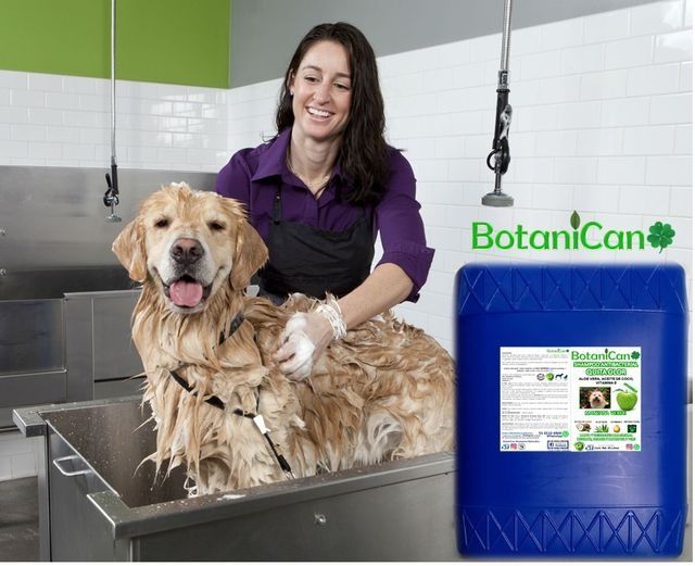 PEDIDO ESPECIAL 3112569050 Barbe Dog Tepic
