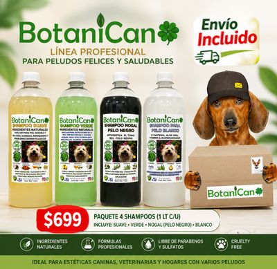 Oferta 4 Litros