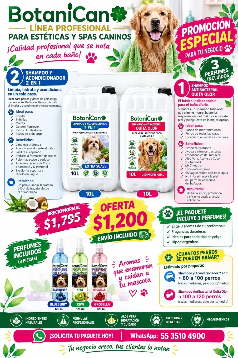 Pedido especial Oh My Dog
