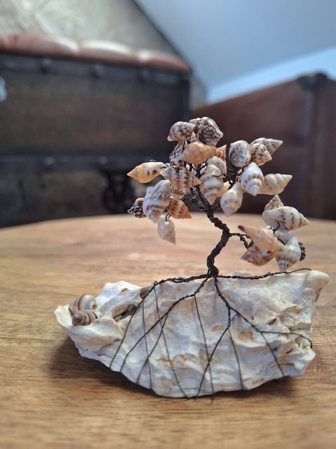 Lebensbaum aus Muscheln auf Auster Lebensbaum aus Muscheln auf Auster