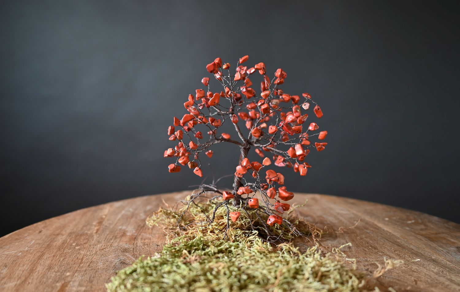 Roter Edelsteinbaum Bonsai