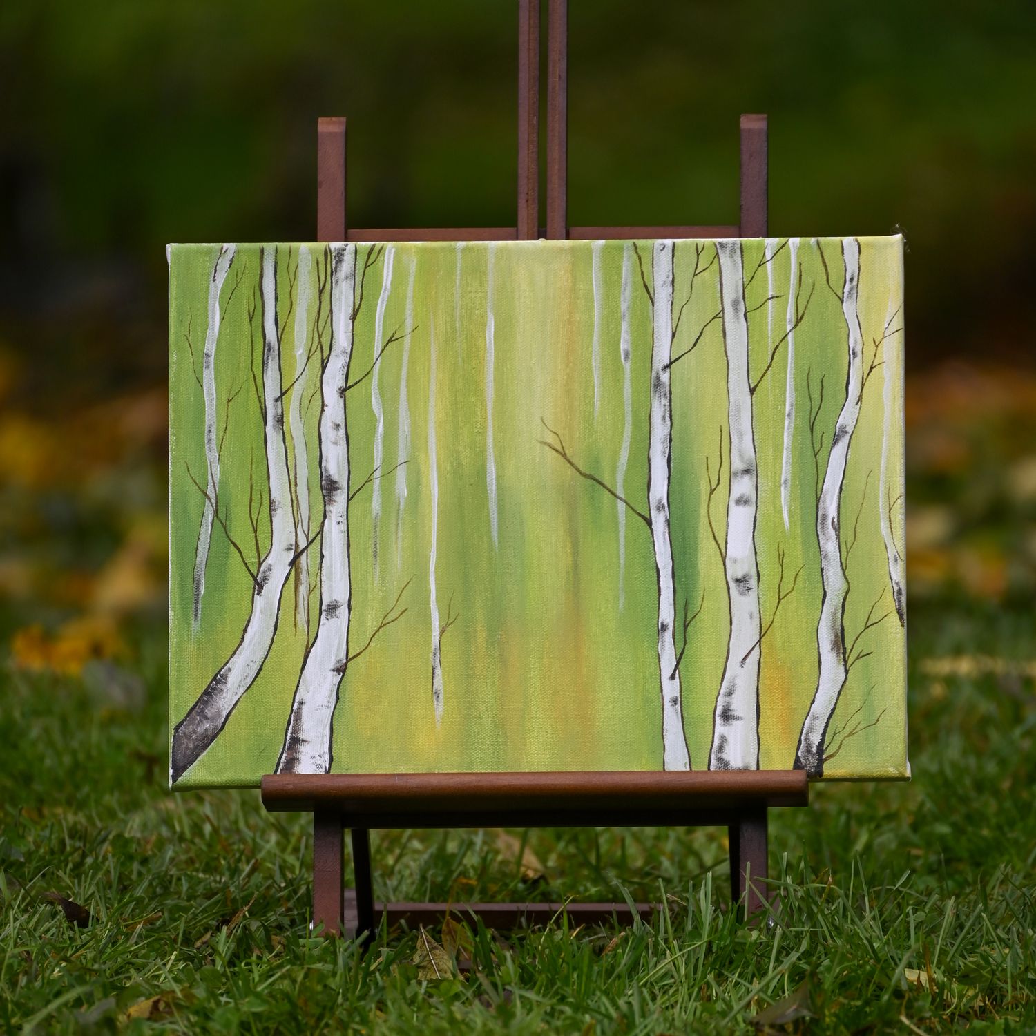 Birkenwald im Grünen