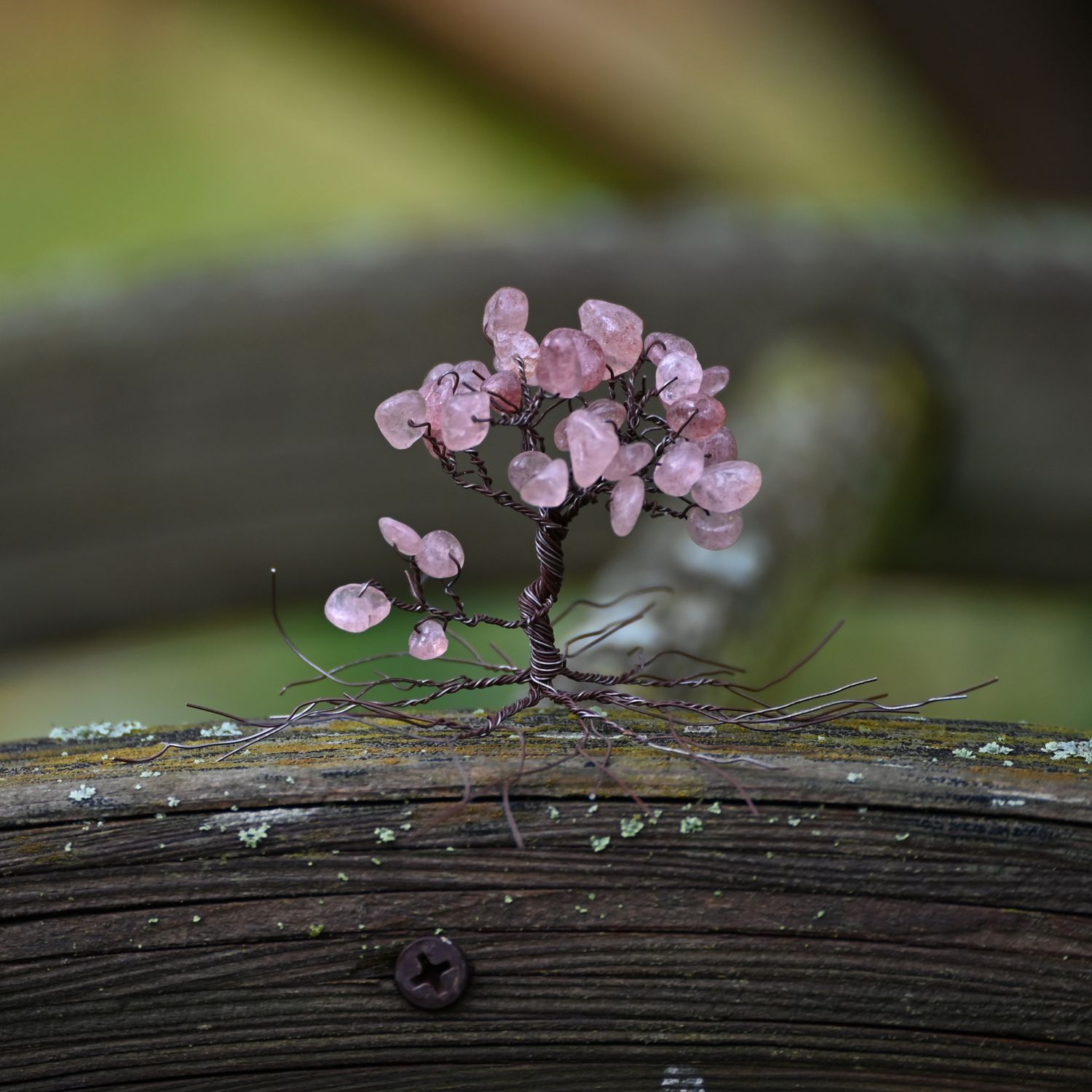 Blüte des Neubeginns - Lebensbaum Blüte des Neubeginns - Lebensbaum
