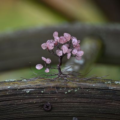 Blüte des Neubeginns - Lebensbaum Blüte des Neubeginns - Lebensbaum