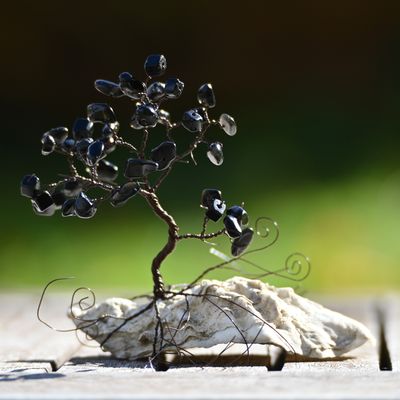 Nachtperle - Lebensbaum Nachtperle - Lebensbaum