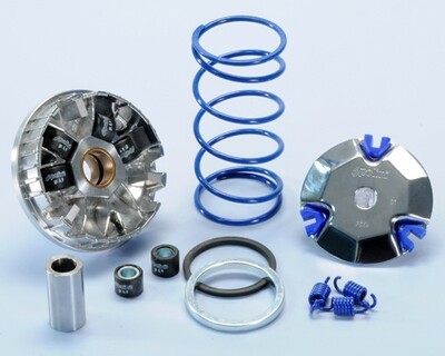 VARIATORE POLINI HI-SPEED YAMAHA-MINARELLI ORIZZONTALE VARIATORE POLINI HI-SPEED YAMAHA-MINARELLI ORIZZONTALE